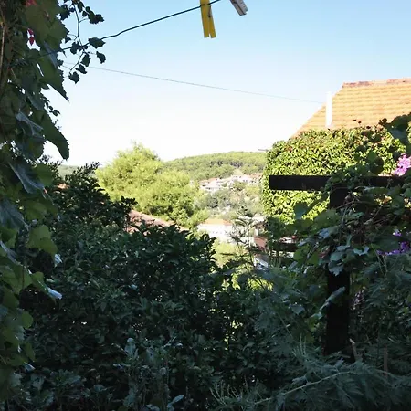 With A Parking Space Jelsa, Hvar - 5728 *